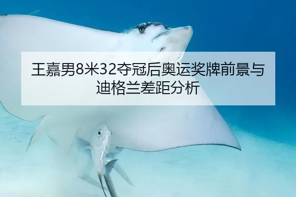 王嘉男8米32夺冠后奥运奖牌前景与迪格兰差距分析