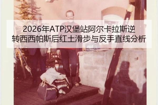 nian-han-bao-zhan-a-er-ka-la-si-ni-zhuan-xi-xi-pa-si-hou-hong-tu-hua-bu-yu-fan-shou-zhi-xian-fen-xi-2-682.jpg